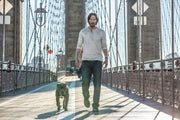 John Wick Chapter 2 [Blu-Ray] Blu-Ray Movie Warner Bros.   
