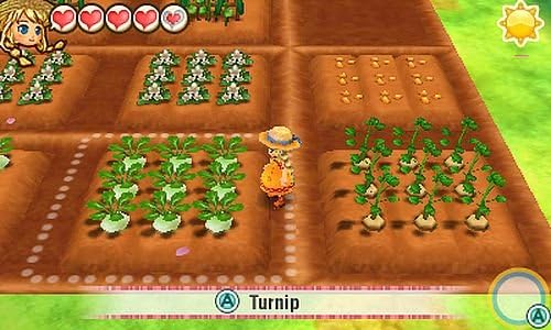 Story of Seasons: Trio of Towns [Nintendo 3DS] Nintendo 3DS Video Game XSEED Games