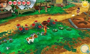 Story of Seasons: Trio of Towns [Nintendo 3DS] Nintendo 3DS Video Game XSEED Games