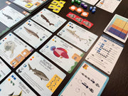 Finspan: Sharks and Reefs Expansion [Board Game, 1-5 Players] Board Game Stonemaier Games