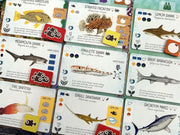 Finspan: Sharks and Reefs Expansion [Board Game, 1-5 Players] Board Game Stonemaier Games