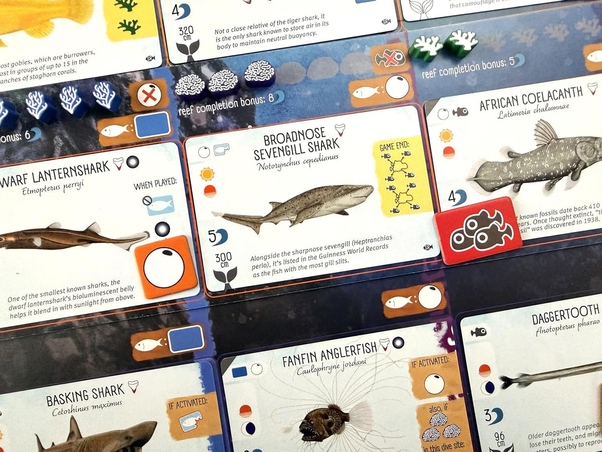 Finspan: Sharks and Reefs Expansion [Board Game, 1-5 Players] Board Game Stonemaier Games