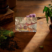 Magic: The Gathering TCG: Bloomburrow Play Booster Box - 36 Packs Card Game Wizards of the Coast