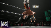 AEW: Fight Forever [Xbox One / Xbox Series X] Xbox One / Xbox Series X Video Game THQ Nordic