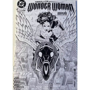 Absolute Superman and Absolute Wonder Woman: #1 [NYCC Ashcan Special Edition] Comics DC Comics