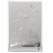 Agoro: Harry Potter Movie Poster - Harry Potter and the Philosopher's Stone Silver Foil Collectible Agoro