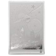 Agoro: Harry Potter Movie Poster - Harry Potter and the Sorcerer's Stone Silver Foil Collectible Agoro