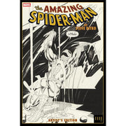 Amazing Spider-Man By Steve Ditko HC: [Steve Ditko Artist Edition Rain] 2026 Comics Image Comics