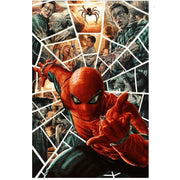 Amazing Spider-Man: #11 [Lee Bermejo - 1:100] 2025 Comics Marvel Comics