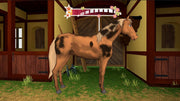 Bibi and Tina At The Horse Farm [PlayStation 4] PlayStation 4 Video Game GS2 Games