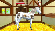 Bibi and Tina New Adventures with Horses [Nintendo Switch] Nintendo Switch Video Game Markt Technik   