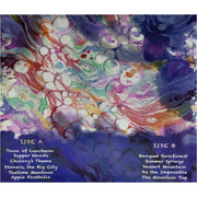 Chicory Piano Collections OST [Audio Vinyl] Audio CD/Vinyl iam8bit