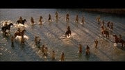 Dances With Wolves [DVD] DVD Movie MGM