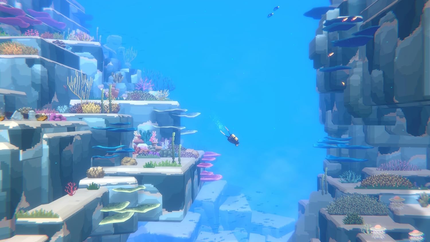 Dave the Diver - Complete Edition [Nintendo Switch 2] Nintendo Switch 2 Video Game Silver Lining Interactive