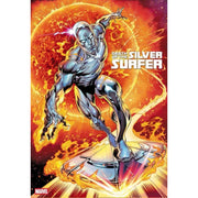 Death Of The Silver Surfer: #2 [Claudio Castellini CVR D] 2025 Comics Marvel Comics