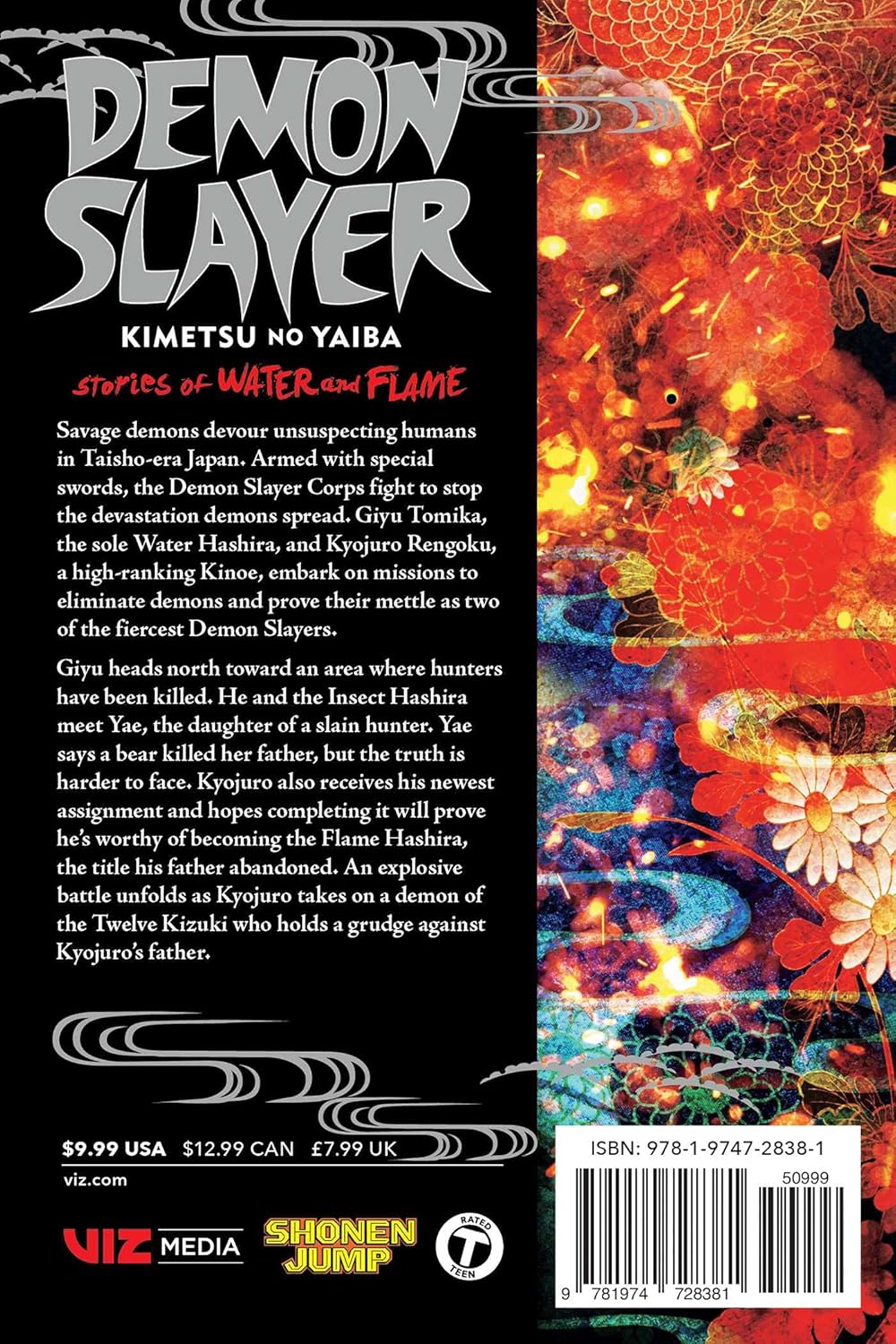 Demon Slayer: Kimetsu no Yaiba - Stories Of Water and Flame Manga Viz Media