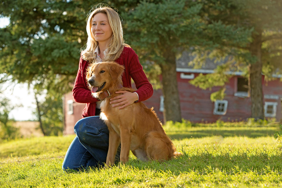 Dog's Purpose [Blu-Ray] DVDs & Blu-Rays Universal Pictures   