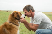 Dog's Purpose [Blu-Ray] DVDs & Blu-Rays Universal Pictures   