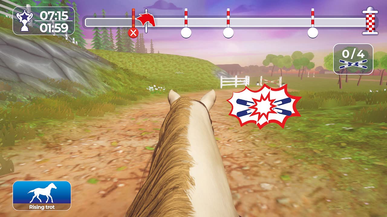 Equestrian Training [Nintendo Switch] Nintendo Switch Video Game Microids