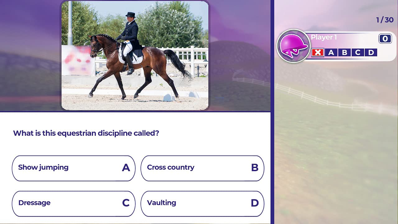 Equestrian Training [Nintendo Switch] Nintendo Switch Video Game Microids