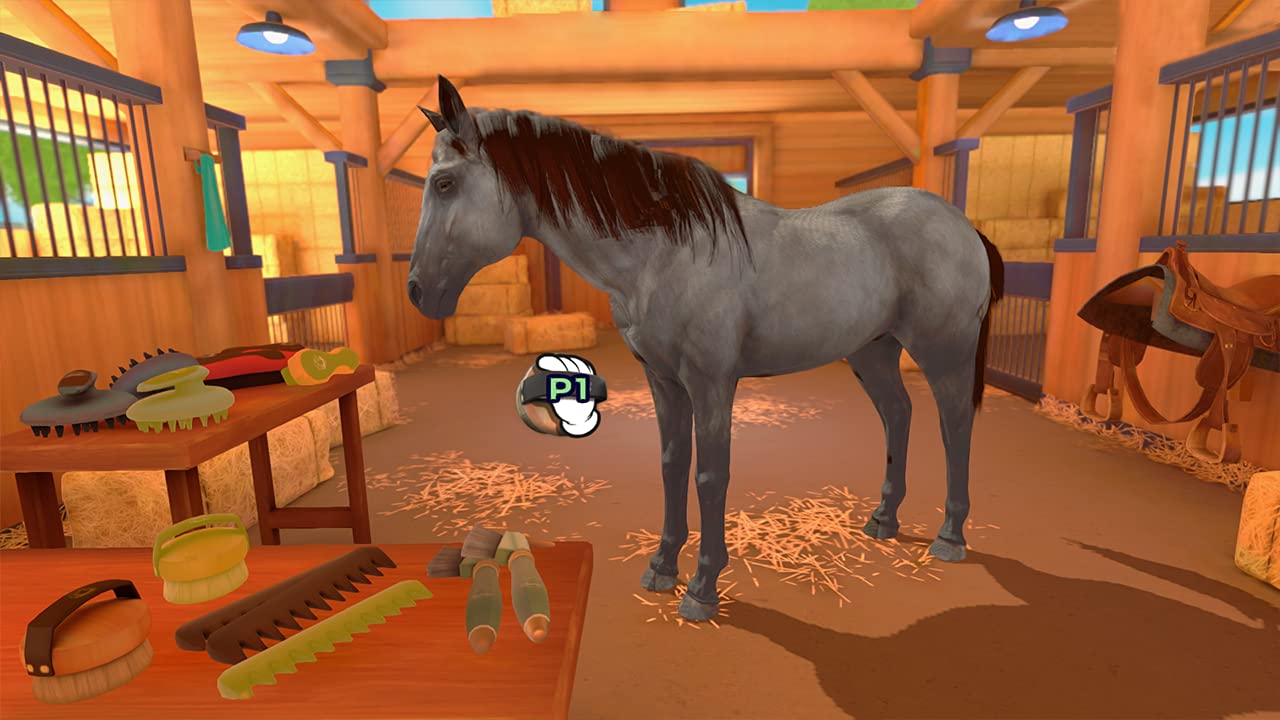 Equestrian Training [Nintendo Switch] Nintendo Switch Video Game Microids