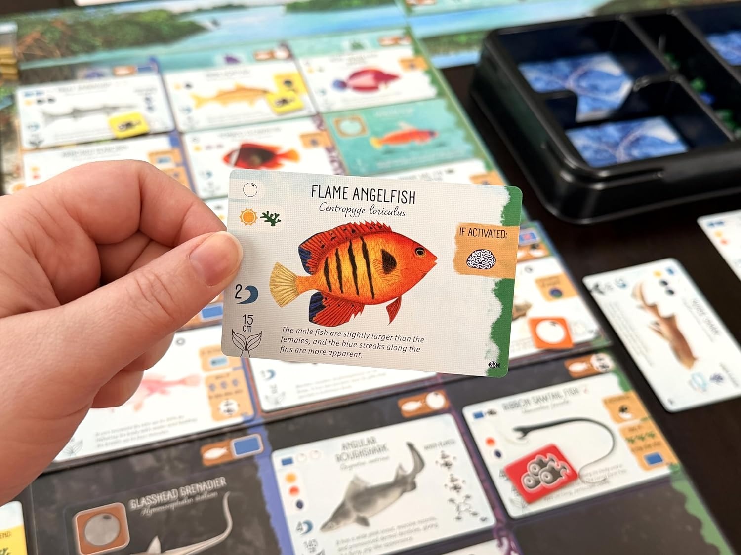 Finspan: Sharks and Reefs Expansion [Board Game, 1-5 Players] Board Game Stonemaier Games