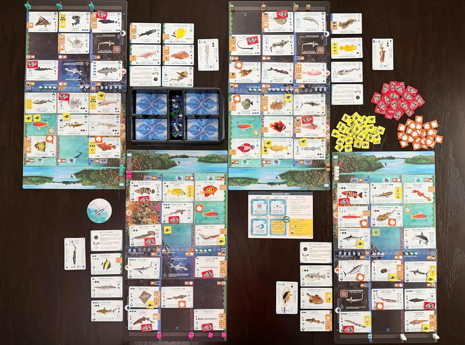 Finspan: Sharks and Reefs Expansion [Board Game, 1-5 Players] Board Game Stonemaier Games