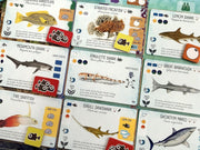 Finspan: Sharks and Reefs Expansion [Board Game, 1-5 Players] Board Game Stonemaier Games