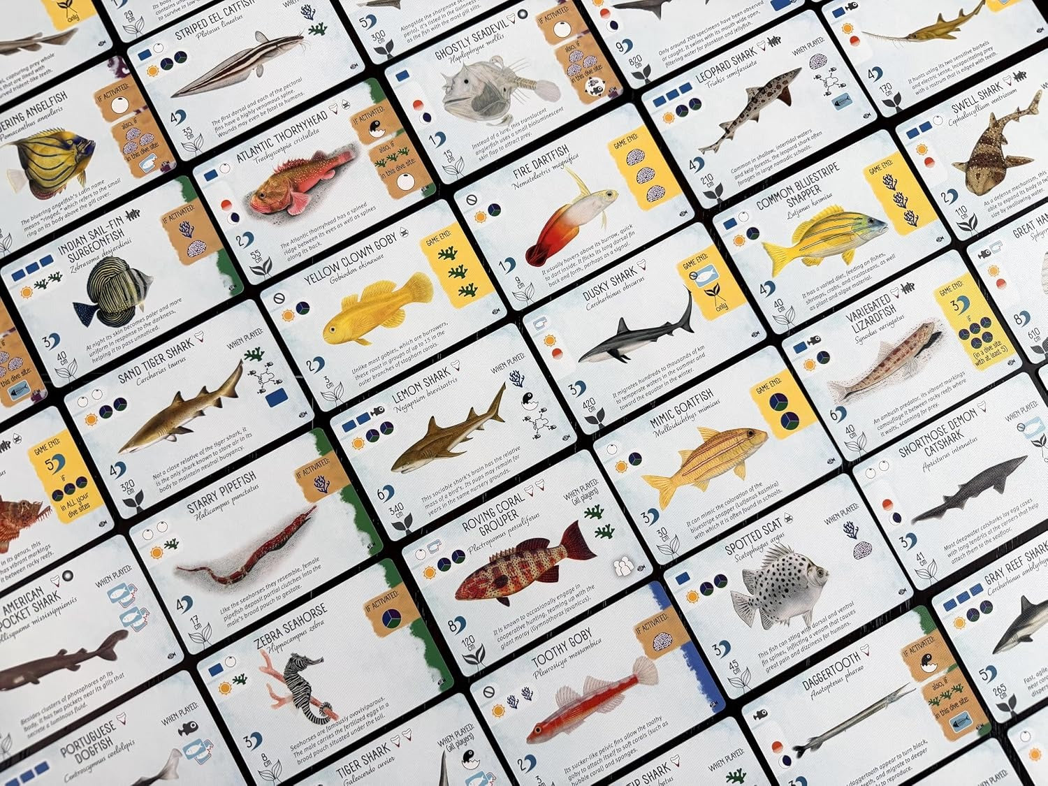 Finspan: Sharks and Reefs Expansion [Board Game, 1-5 Players] Board Game Stonemaier Games