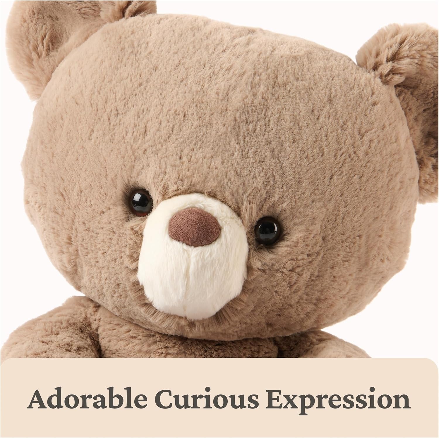 GUND: Forever Friends Promise Bear Plush - Kai Toys & Games GUND