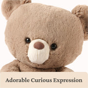 GUND: Forever Friends Promise Bear Plush - Kai Toys & Games GUND
