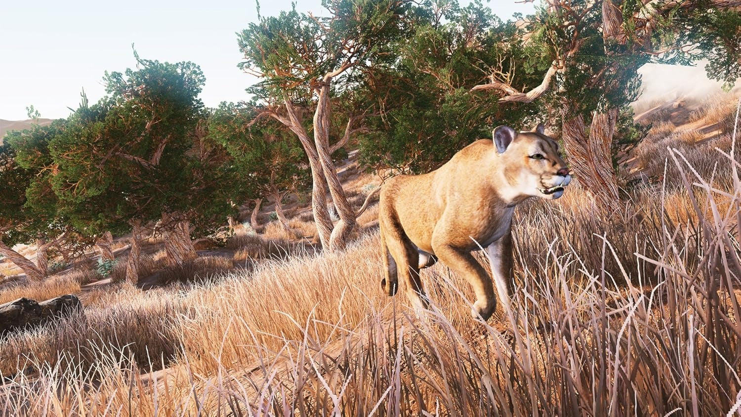 Hunting Simulator [Xbox One] Xbox One Video Game Maximum Games