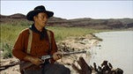 John Wayne - 20 Film Legacy Collection [DVD] DVD Box Set / Series Warner Brothers