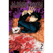 Jujutsu Kaisen: Volume 2 Manga Viz Media