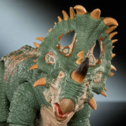 Jurassic World Hammond Collection: Sinoceratops Toys & Games Mattel