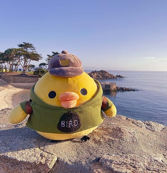 Kiiroitori San-X Original: Always with Rilakkuma Series Plush Plushies Rilakkuma