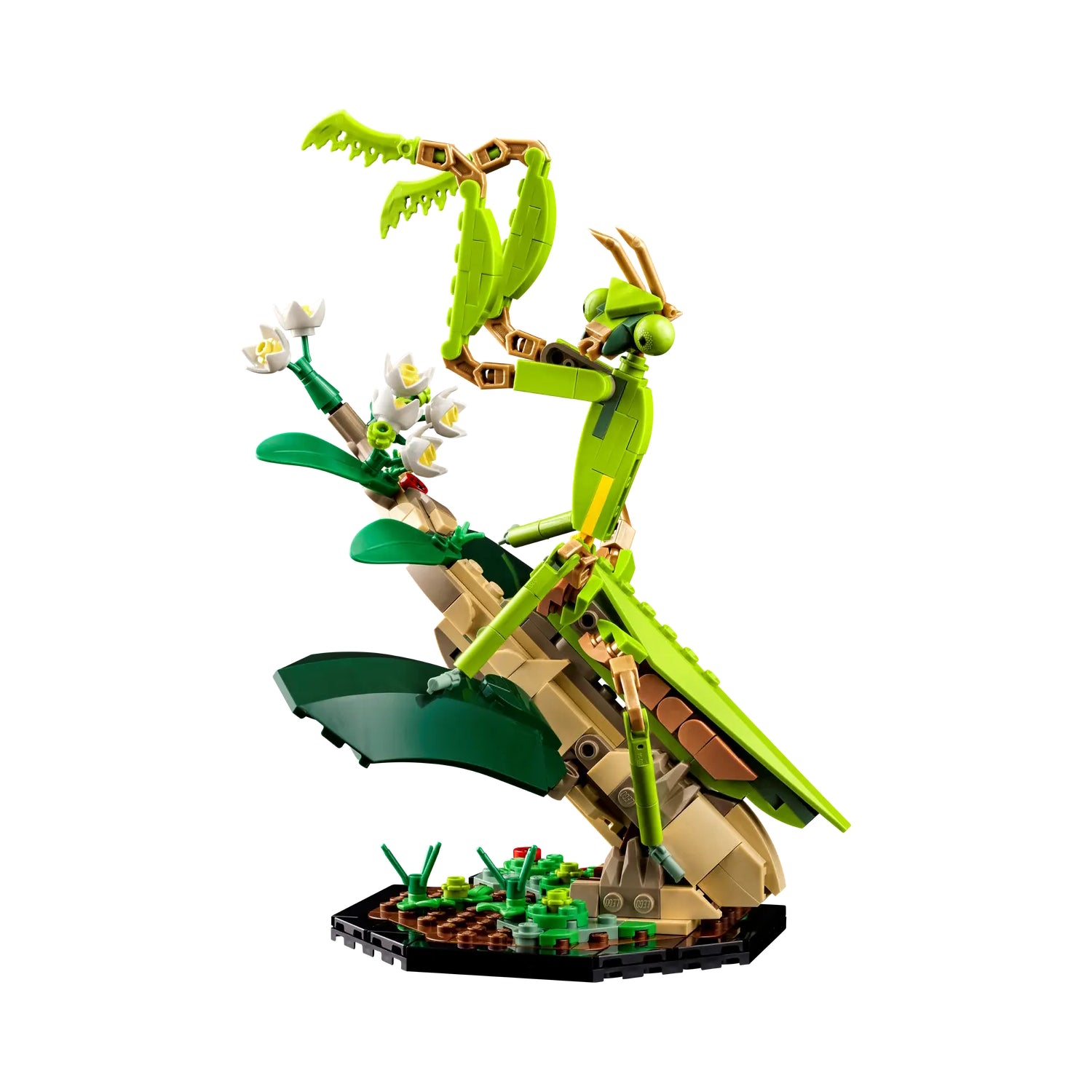 LEGO: The Insect Collection - 1111 Piece Building Kit [LEGO, #21342] LEGO LEGO