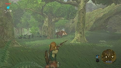 Legend of Zelda: Breath of the Wild [Nintendo Wii U] Nintendo Wii U Game Nintendo