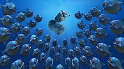 Ice Age: the Complete Collection [Blu-ray] Blu-Ray Movie Blue Sky Studios