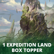 Magic: The Gathering TCG: Zendikar Rising Draft Booster Box Trading Cards Wizards of the Coast