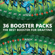 Magic: The Gathering TCG: Zendikar Rising Draft Booster Box Trading Cards Wizards of the Coast