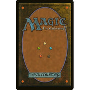 Magic: the Gathering TCG: Secret Lair Winter Superdrop 2025 Promo Sol Ring (Foil) Card Game Wizards of the Coast