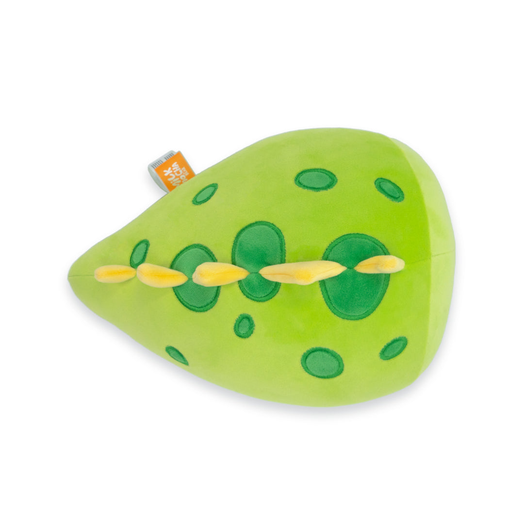 Milk Mocha Bear: Matcha Plush Plushies Milk Mocha Bear