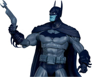 McFarlane Toys: DC Multiverse - Batman and Solomon Grundy Action Figure 2 Pack - Gold Label Toys & Games McFarlane Toys