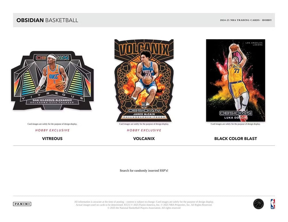 Panini Obsidian Basketball 2024-25 Hobby Box Sports Cards Panini