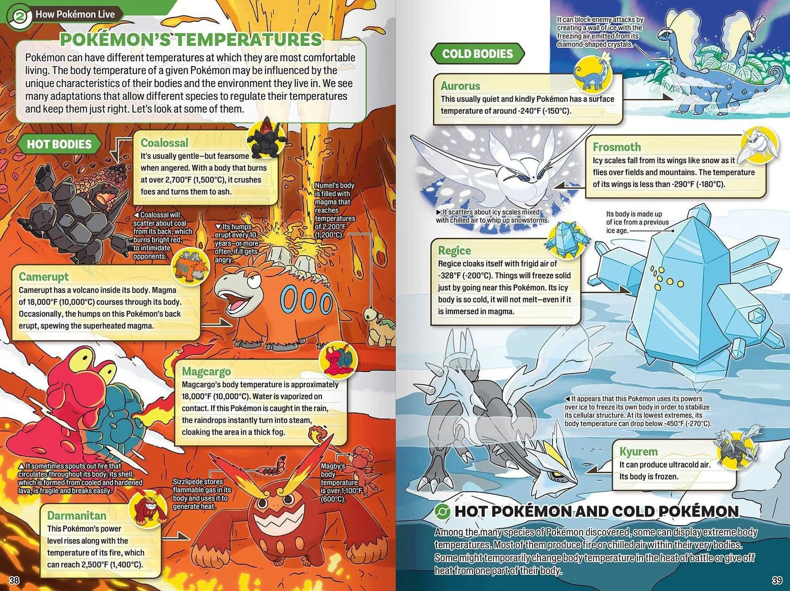 Pokecology: An Illustrated Guide to Pokemon Ecology Book - Video Game Guide / Art Book Pokemon