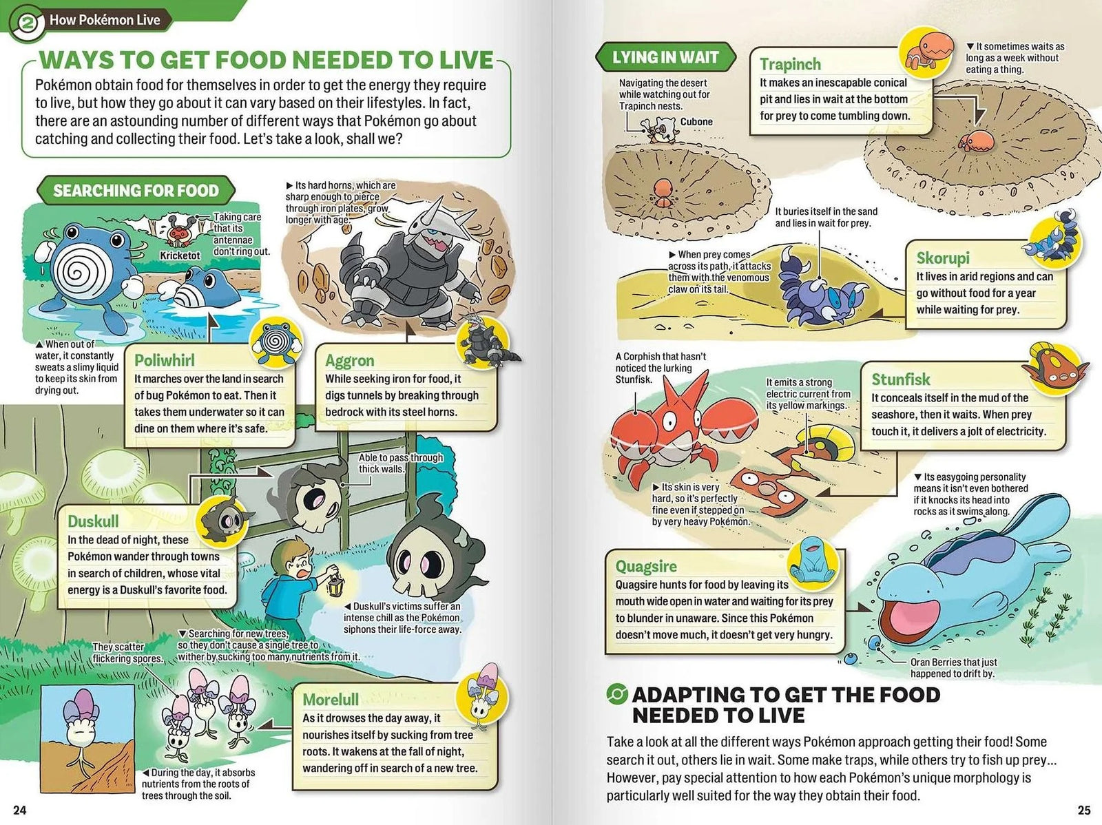 Pokecology: An Illustrated Guide to Pokemon Ecology Book - Video Game Guide / Art Book Pokemon