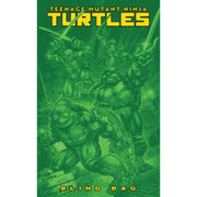 Teenage Mutant Ninja Turtles: #13 [CVR F Mystery Blind Bag] TMNT 2025 Comics IDW Publishing