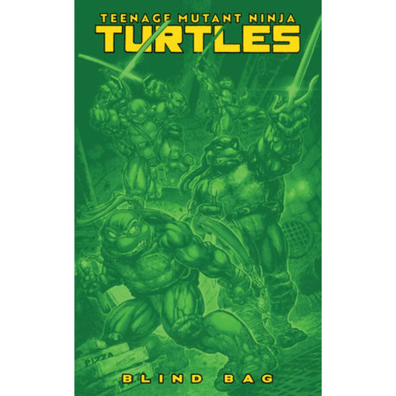 Teenage Mutant Ninja Turtles: #13 [CVR F Comic Book Blind Bag x10] TMNT Bundle Comics IDW Publishing