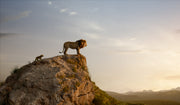 The Lion King: 2-Movie Collection - Disney Animation & Live-Action  [Blu-Ray Doublepack] Blu-Ray Box Set / Series Disney   